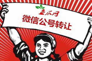 今日頭條賬號(hào)審核不通過(guò)或被封禁的應(yīng)對(duì)策略與網(wǎng)絡(luò)信息轉(zhuǎn)讓注意事項(xiàng)